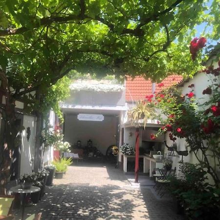 Ferienwohnung Im 'Schmoller - Hof' Neustadt an der Weinstrasse Bagian luar foto