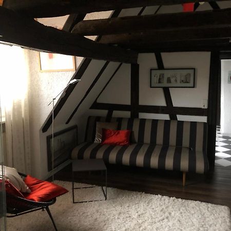Ferienwohnung Im 'Schmoller - Hof' Neustadt an der Weinstrasse Bagian luar foto