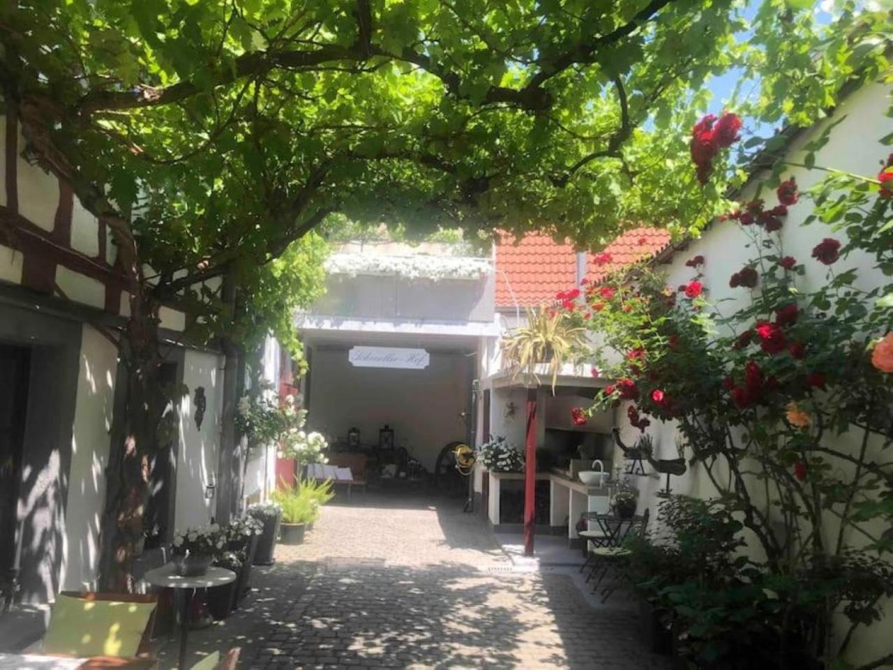 Ferienwohnung Im 'Schmoller - Hof' Neustadt an der Weinstrasse Bagian luar foto